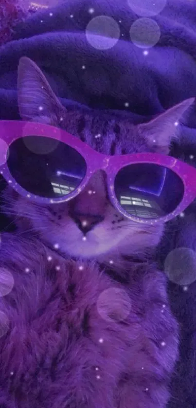 Cat wearing sunglasses on a cozy purple blanket.