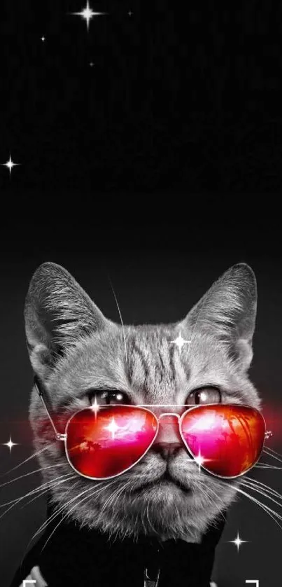 Cat wearing sunglasses on black background wallpaper.