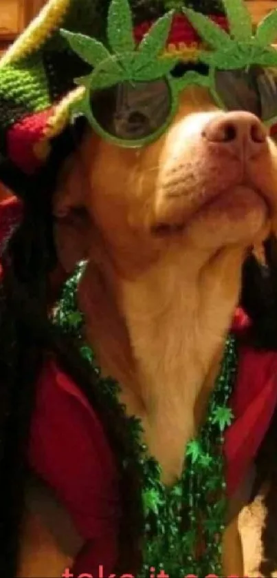 Dog in Rasta outfit with sunglasses, festive background.