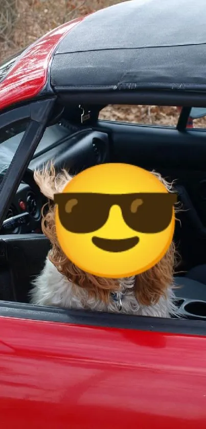 Dog with sunglasses in a red convertible car with open roof.