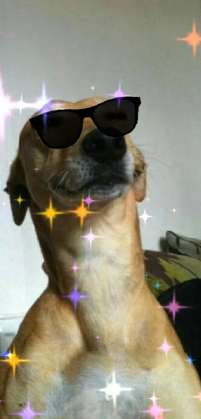 Cool dog wearing sunglasses, showing attitude.