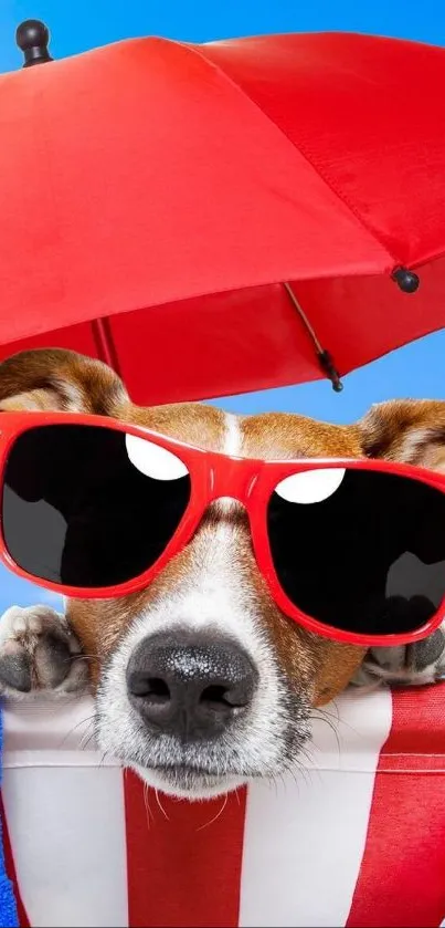 Dog wearing red sunglasses under umbrella on a summer day.
