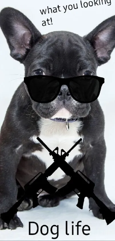 French Bulldog with sunglasses and text 'Dog life' on a white background.