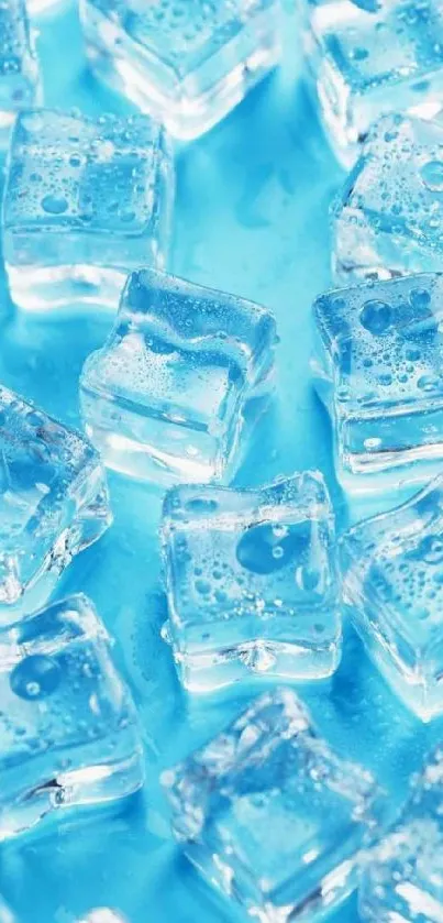 Ice cubes on a cyan blue background creating a cool, refreshing look.