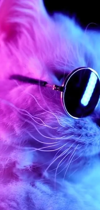 Cat in sunglasses with neon purple light.