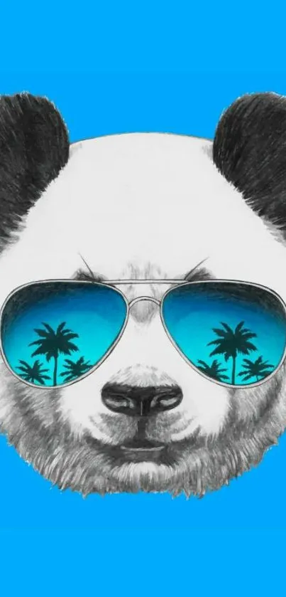 Panda with sunglasses on blue background