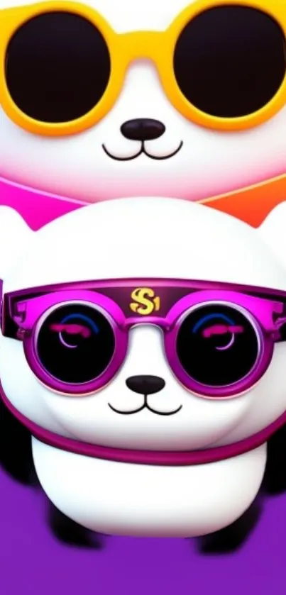 Adorable pandas wearing colorful sunglasses on a vibrant purple background.