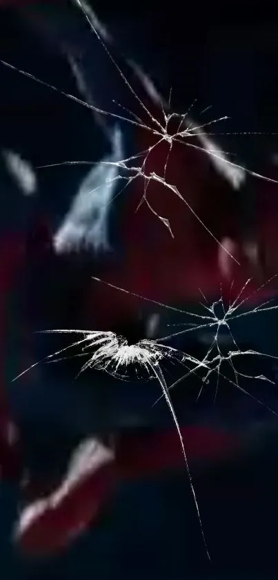 Spider-themed phone wallpaper with cracked screen effect.