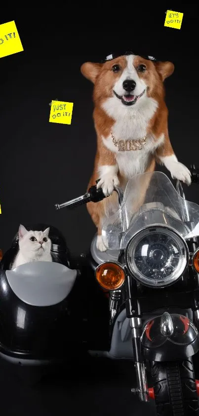 Corgi and cat on a motorcycle in a humorous adventure scene.