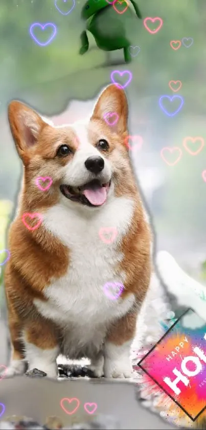 Corgi with colorful heart effects celebrating Holi.