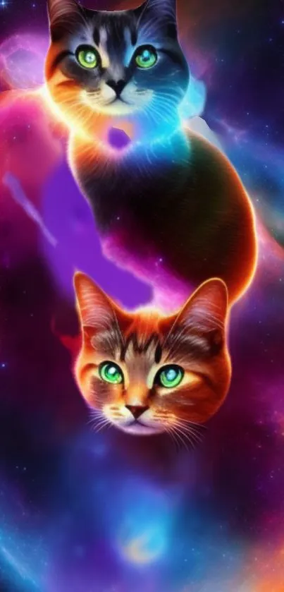 Two cosmic cats in a colorful, galaxy-themed digital artwork.