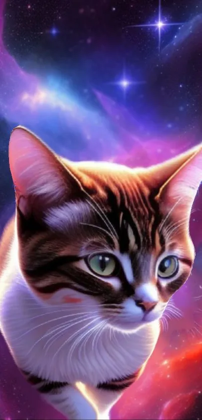 A majestic cat in front of a vibrant galaxy background.