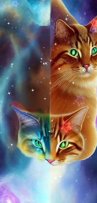 Colorful cosmic cat wallpaper with galaxy background and neon eyes.