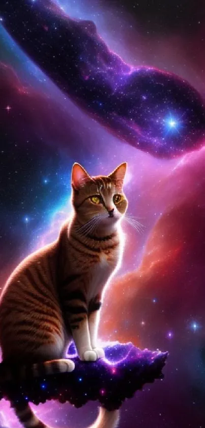 A cosmic cat sits in space with a vibrant galaxy backdrop.