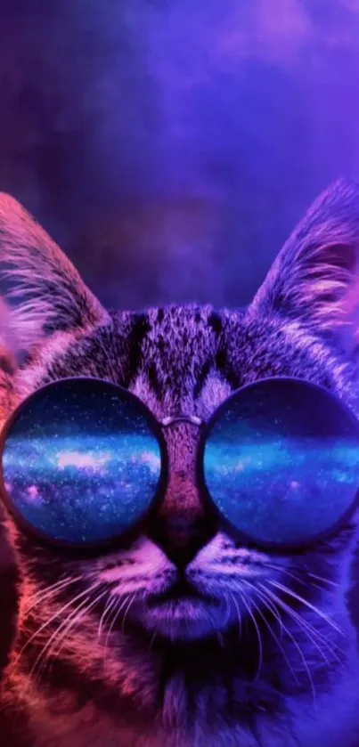 Cat with cosmic sunglasses wallpaper in purple hues.