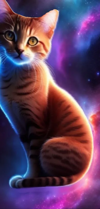 A tabby cat sits in a vibrant cosmic galaxy.