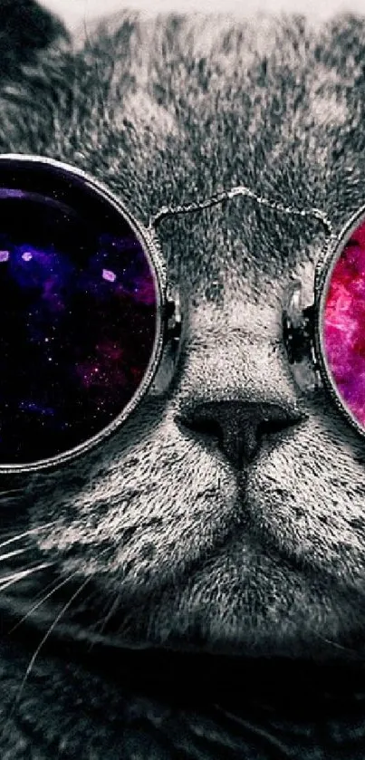 Cat with galactic glasses mobile wallpaper.