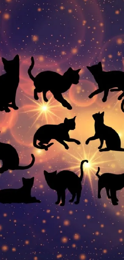 Cosmic cat silhouettes on a purple bokeh background with starry effects.