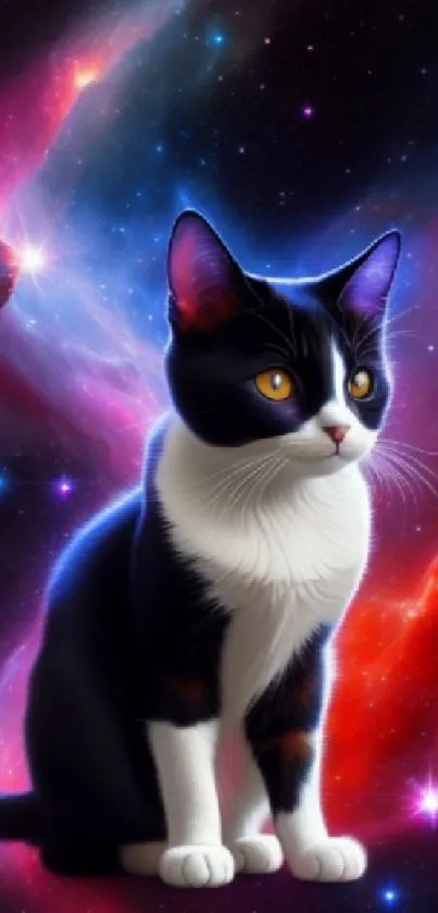 Cosmic cat sits with vibrant galaxy backdrop.