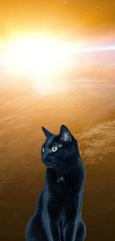 Black cat in a cosmic golden sky wallpaper.