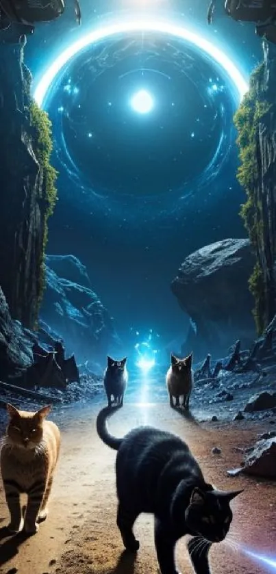 Cats walk through a mystical forest under a cosmic sky.