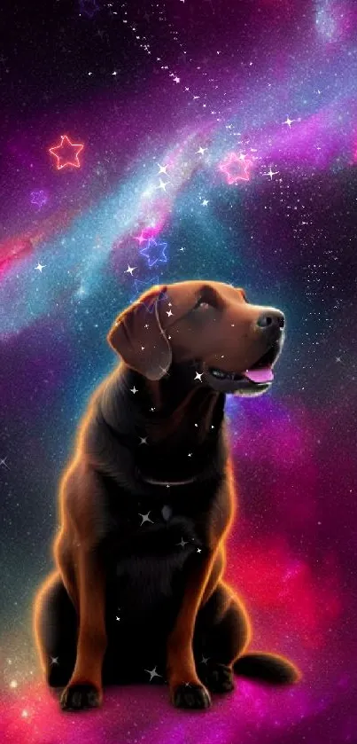 Dog in a vibrant galaxy with colorful cosmic backdrop.