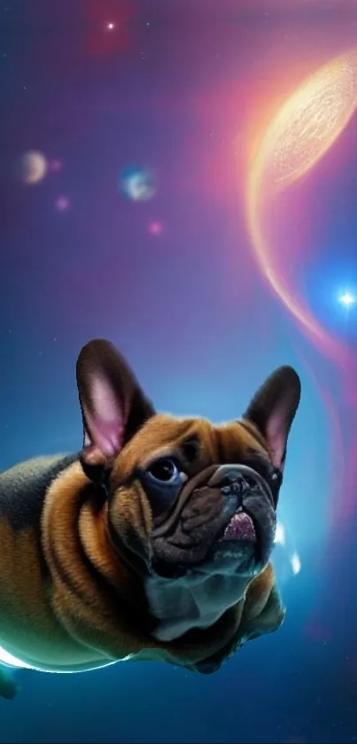 French Bulldog floating in a cosmic space scene, vibrant blue hues.