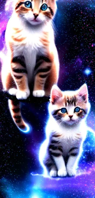 Cosmic kittens with glowing blue eyes in a galaxy-themed wallpaper.