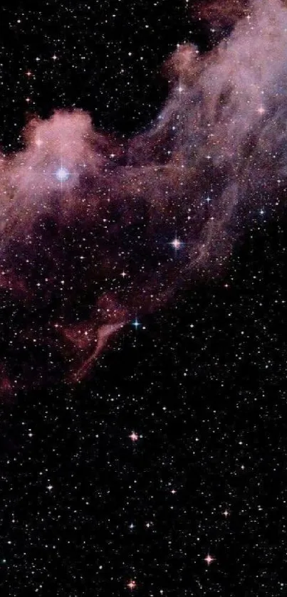 Stunning cosmic nebula wallpaper with stars and glowing dust clouds.