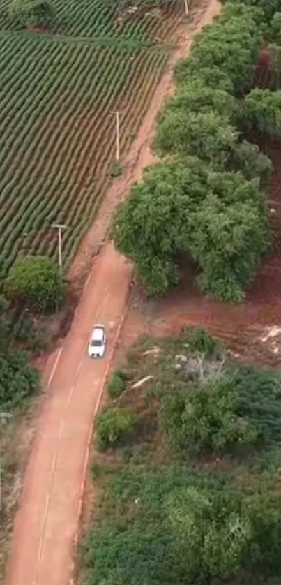 Aerial view of a road amid green fields and lush trees.