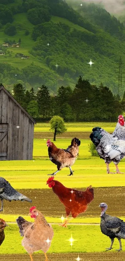 Chickens in a lush green countryside with cloudy skies and rustic barn.