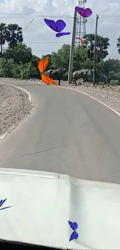 Countryside road with butterflies overhead.