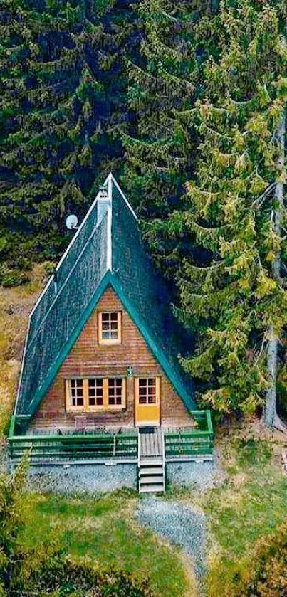 A-frame cabin surrounded by lush forest greenery.