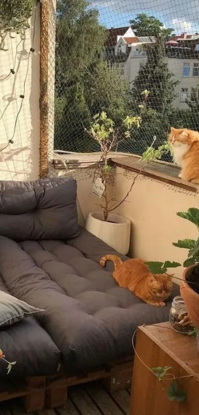 Cozy balcony with two ginger cats relaxing amidst plants.