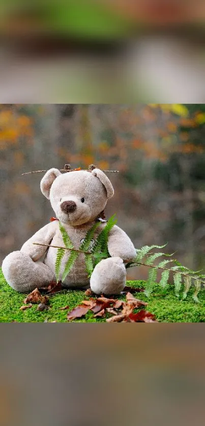 Plush teddy bear nestled in a green forest setting with autumn leaves.