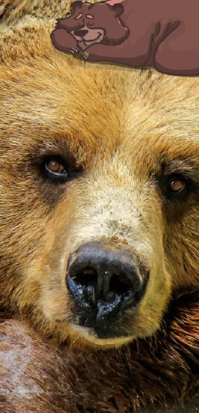 Cozy brown bear resting on rock with cute drawing on forehead.