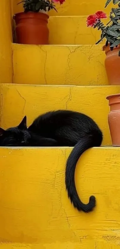 Black cat resting on vivid yellow steps with potted plants.