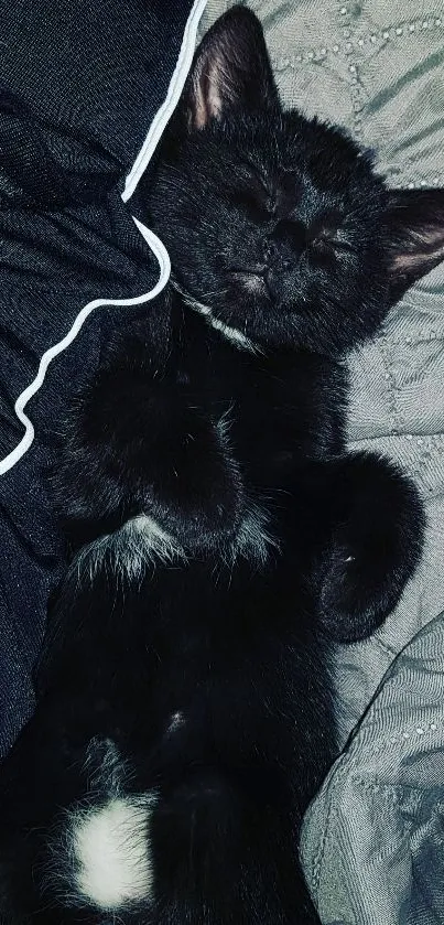 A black kitten sleeping on gray blankets, exuding warmth and charm.