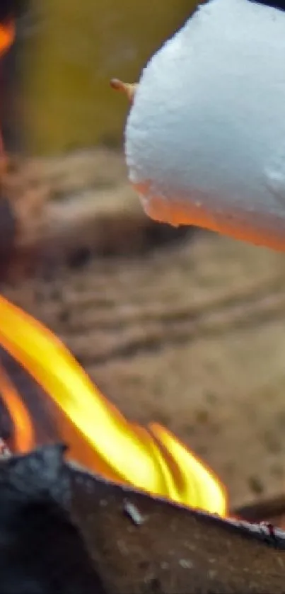 Campfire with marshmallows roasting on sticks over vibrant flames.