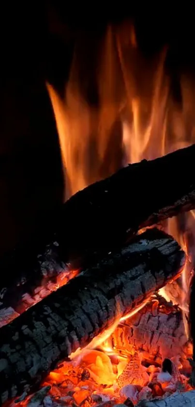 Logs burning with glowing orange flames in a cozy campfire scene.