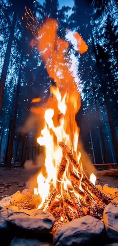 A blazing campfire surrounded by tall trees in a tranquil forest setting.