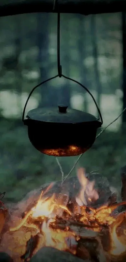 Hanging pot over campfire in forest setting.