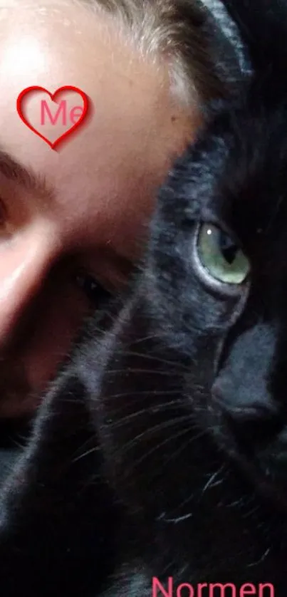 Close-up of black cat with human friend, cozy wallpaper.