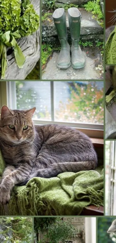 Tabby cat on green blanket near window, surrounded by nature elements.