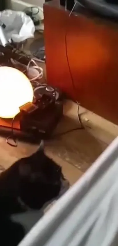 Black cat sits beside a glowing lamp on a wooden floor.