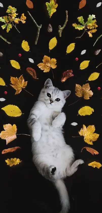 Cute cat lying among vibrant autumn leaves on a dark background.