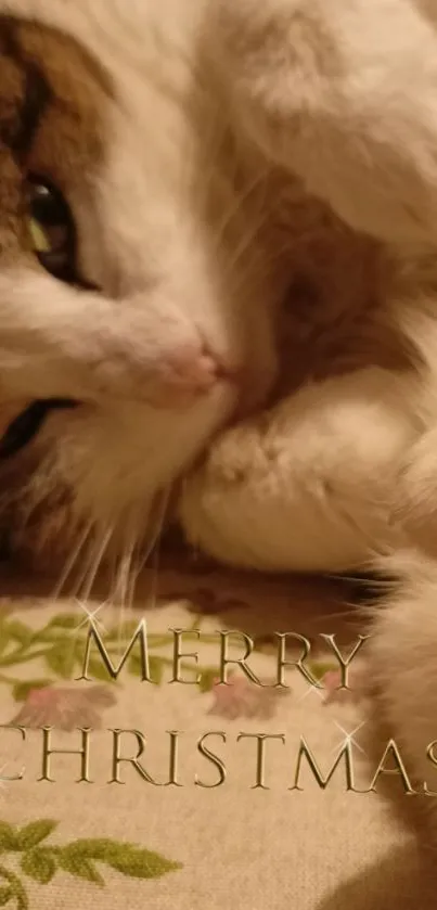 Cute cat with Merry Christmas text, cozy warm tones.