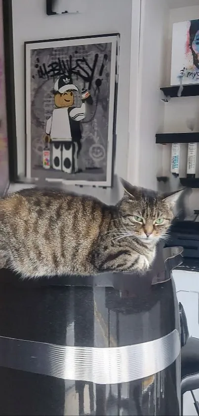 Cat comfortably resting in an artistic studio environment.