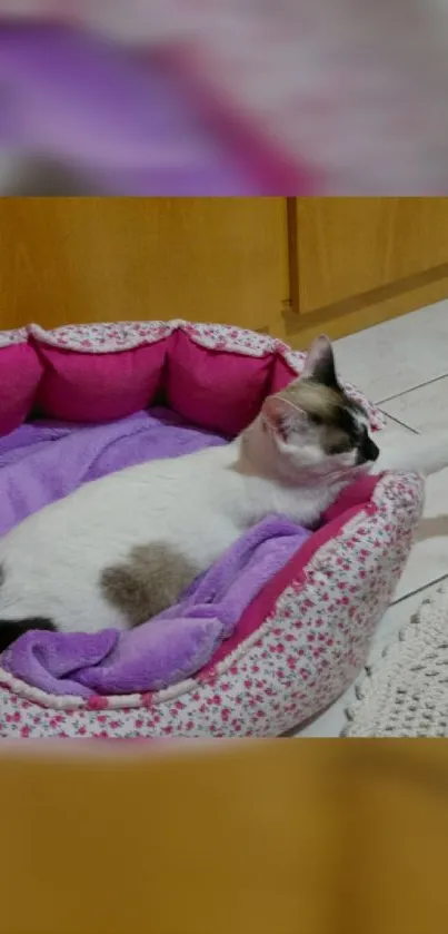 Cozy cat resting in a purple bed with floral design.