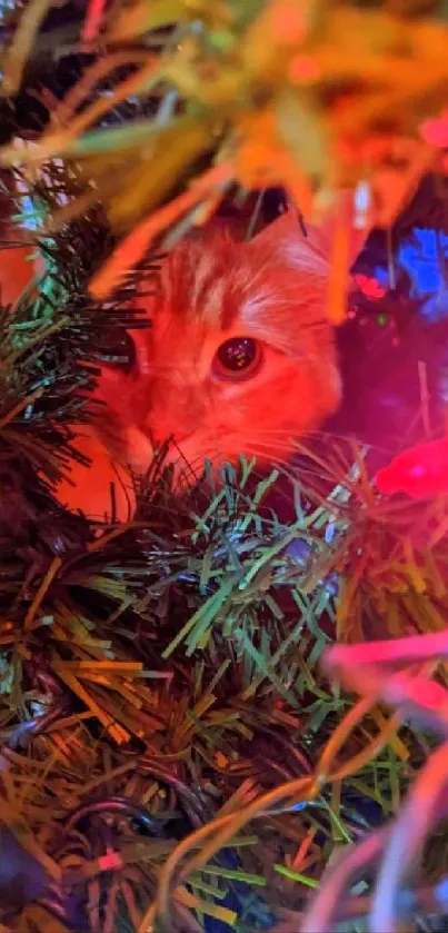 Cat snuggled in Christmas tree with festive lights.